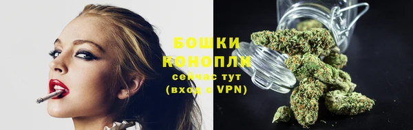 PSILOCYBIN Алексеевка