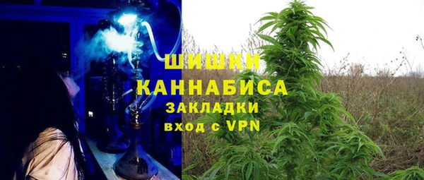 тгк Алексин