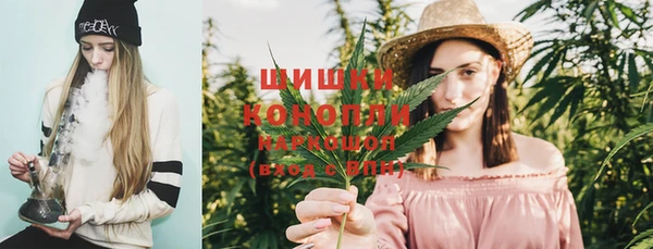 PSILOCYBIN Алексеевка