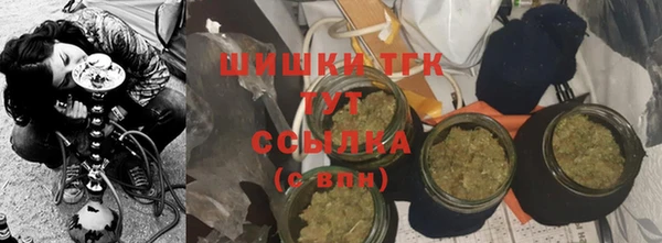 тгк Алексин